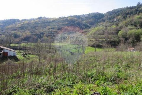 Villa i Cacarilhe e Infesta, Braga, Cacarilhe e Infesta - € 41.000 | Ref: 126221008-71 - foto 23