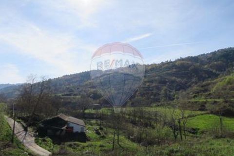 Villa i Cacarilhe e Infesta, Braga, Cacarilhe e Infesta - € 41.000 | Ref: 126221008-71 - foto 22