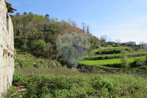 Villa i Cacarilhe e Infesta, Braga, Cacarilhe e Infesta - € 41.000 | Ref: 126221008-71 - foto 21