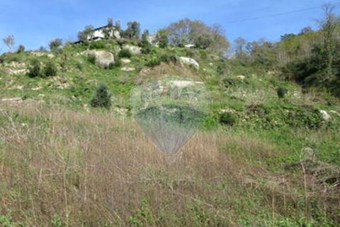 Villa i Cacarilhe e Infesta, Braga, Cacarilhe e Infesta - € 41.000 | Ref: 126221008-71 - foto 20