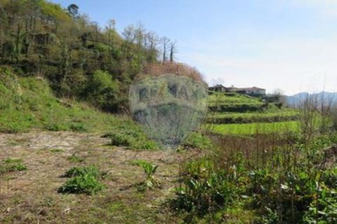 Villa i Cacarilhe e Infesta, Braga, Cacarilhe e Infesta - € 41.000 | Ref: 126221008-71 - foto 19