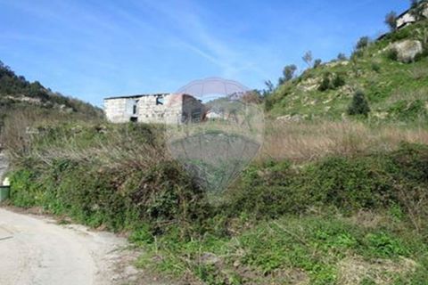Villa i Cacarilhe e Infesta, Braga, Cacarilhe e Infesta - € 41.000 | Ref: 126221008-71 - foto 18