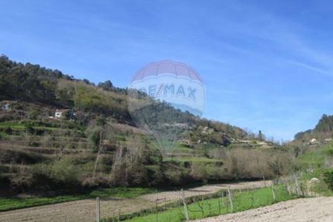 Villa i Cacarilhe e Infesta, Braga, Cacarilhe e Infesta - € 41.000 | Ref: 126221008-71 - foto 17