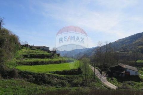 Villa i Cacarilhe e Infesta, Braga, Cacarilhe e Infesta - € 41.000 | Ref: 126221008-71 - foto 14