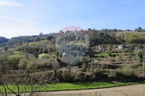 Villa i Cacarilhe e Infesta, Braga, Cacarilhe e Infesta - € 41.000 | Ref: 126221008-71 - foto 13