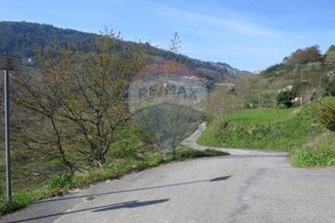 Villa i Cacarilhe e Infesta, Braga, Cacarilhe e Infesta - € 41.000 | Ref: 126221008-71 - foto 3
