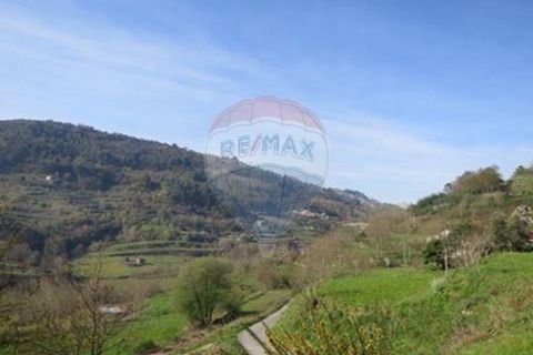 Villa i Cacarilhe e Infesta, Braga, Cacarilhe e Infesta - € 41.000 | Ref: 126221008-71 - foto 8