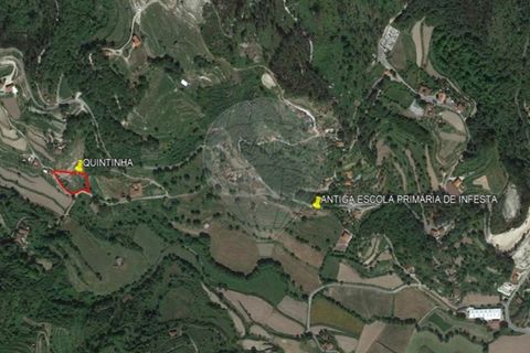 Villa i Cacarilhe e Infesta, Braga, Cacarilhe e Infesta - € 41.000 | Ref: 126221008-71 - foto 9