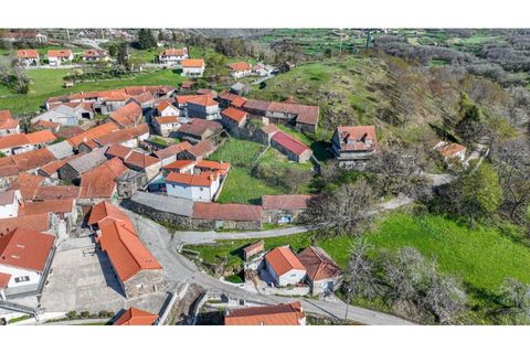 Terra a Paradela, Vila Real, Paradela - € 39.900 | Ref: 126381029-1 - foto 2