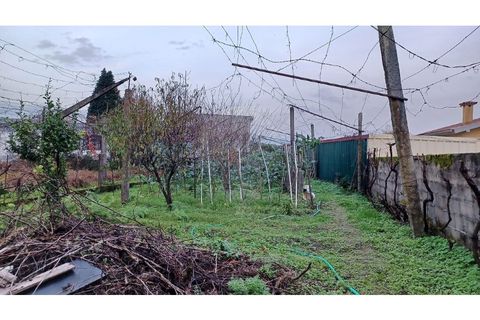 Villa i Braga, Braga, Braga - € 530.000 | Ref: 123331051-287 - foto 10