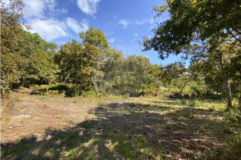 Helårsgrund i Vila Real, Vila Real, Vila Real - € 55.000 | Ref: 123331135-81 - foto 10
