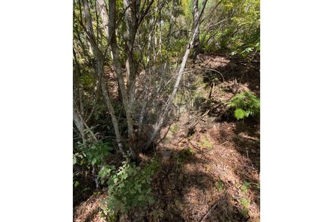 Helårsgrund i Vila Real, Vila Real, Vila Real - € 55.000 | Ref: 123331135-81 - foto 14