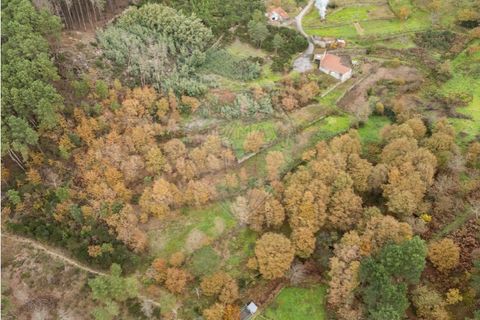 Helårsgrund i Vila Real, Vila Real, Vila Real - € 55.000 | Ref: 123331135-81 - foto 16