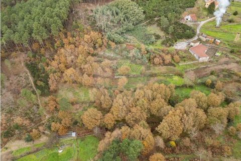 Helårsgrund i Vila Real, Vila Real, Vila Real - € 55.000 | Ref: 123331135-81 - foto 17