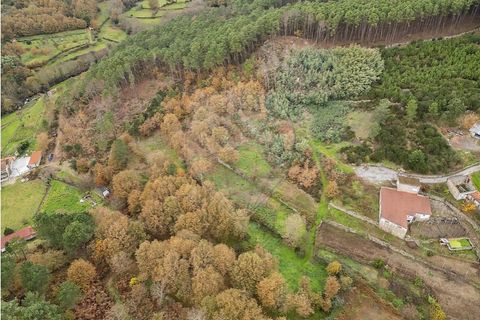 Helårsgrund i Vila Real, Vila Real, Vila Real - € 55.000 | Ref: 123331135-81 - foto 18