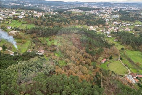 Helårsgrund i Vila Real, Vila Real, Vila Real - € 55.000 | Ref: 123331135-81 - foto 22