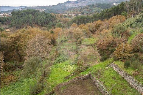 Helårsgrund i Vila Real, Vila Real, Vila Real - € 55.000 | Ref: 123331135-81 - foto 27