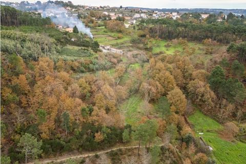 Helårsgrund i Vila Real, Vila Real, Vila Real - € 55.000 | Ref: 123331135-81 - foto 31