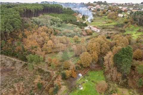 Helårsgrund i Vila Real, Vila Real, Vila Real - € 55.000 | Ref: 123331135-81 - foto 32