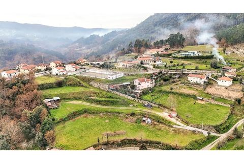 Terreno en Alvite e Passos, Braga, Alvite e Passos - € 42.500 | Ref: 126311008-32 - photo 2