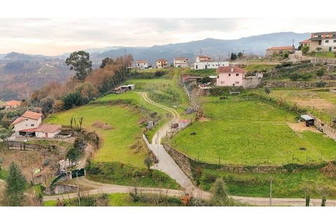 Terreno en Alvite e Passos, Braga, Alvite e Passos - € 42.500 | Ref: 126311008-32 - photo 5