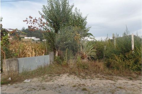 Helårsgrund i Braga, Braga, Braga - € 295.000 | Ref: 123331051-285 - foto 6