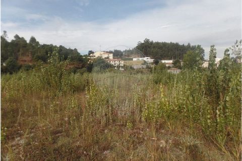 Helårsgrund i Braga, Braga, Braga - € 295.000 | Ref: 123331051-285 - foto 7