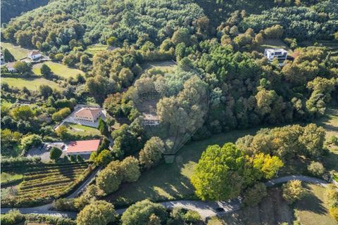 Farm i Vila Real, Vila Real, Vila Real - € 360.000 | Ref: 123331135-80 - foto 2