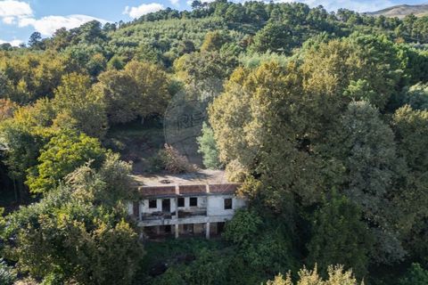 Farm i Vila Real, Vila Real, Vila Real - € 360.000 | Ref: 123331135-80 - foto 6
