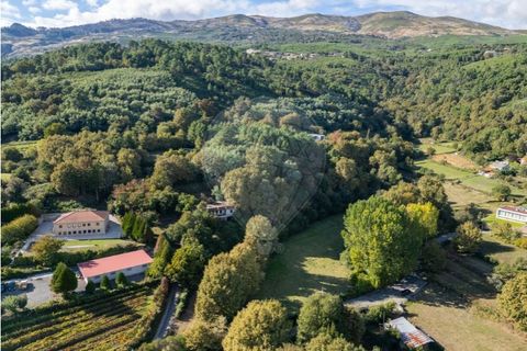 Farm i Vila Real, Vila Real, Vila Real - € 360.000 | Ref: 123331135-80 - foto 7