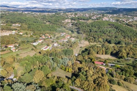 Farm i Vila Real, Vila Real, Vila Real - € 360.000 | Ref: 123331135-80 - foto 8