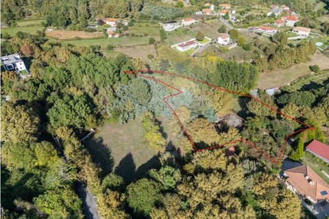 Farm i Vila Real, Vila Real, Vila Real - € 360.000 | Ref: 123331135-80 - foto 9