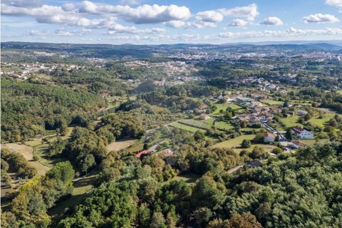 Farm i Vila Real, Vila Real, Vila Real - € 360.000 | Ref: 123331135-80 - foto 10
