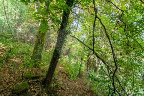 Farm i Vila Real, Vila Real, Vila Real - € 360.000 | Ref: 123331135-80 - foto 11