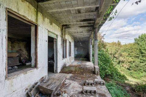 Farm i Vila Real, Vila Real, Vila Real - € 360.000 | Ref: 123331135-80 - foto 12