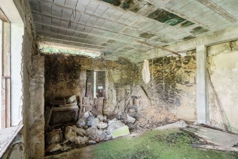 Farm i Vila Real, Vila Real, Vila Real - € 360.000 | Ref: 123331135-80 - foto 17