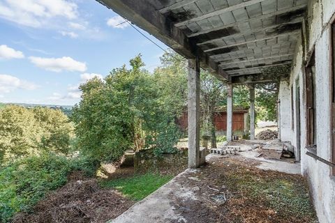Farm i Vila Real, Vila Real, Vila Real - € 360.000 | Ref: 123331135-80 - foto 19