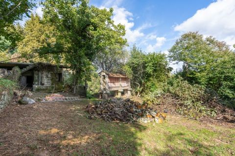 Farm i Vila Real, Vila Real, Vila Real - € 360.000 | Ref: 123331135-80 - foto 20