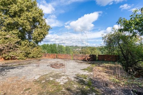 Farm i Vila Real, Vila Real, Vila Real - € 360.000 | Ref: 123331135-80 - foto 21