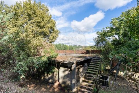 Farm i Vila Real, Vila Real, Vila Real - € 360.000 | Ref: 123331135-80 - foto 23