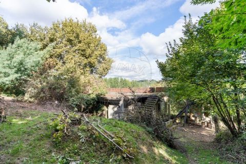 Farm i Vila Real, Vila Real, Vila Real - € 360.000 | Ref: 123331135-80 - foto 24