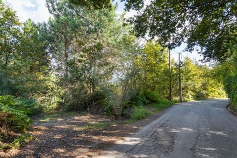 Farm i Vila Real, Vila Real, Vila Real - € 360.000 | Ref: 123331135-80 - foto 25