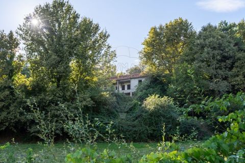 Farm i Vila Real, Vila Real, Vila Real - € 360.000 | Ref: 123331135-80 - foto 26