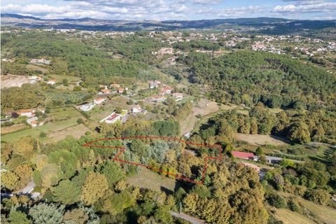 Farm i Vila Real, Vila Real, Vila Real - € 360.000 | Ref: 123331135-80 - foto 27