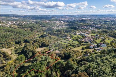 Farm i Vila Real, Vila Real, Vila Real - € 360.000 | Ref: 123331135-80 - foto 28