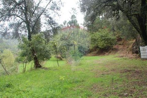 Helårsgrund i Chorense e Monte, Braga, Chorense e Monte - € 50.000 | Ref: 123331056-1019 - foto 9