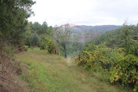 Helårsgrund i Chorense e Monte, Braga, Chorense e Monte - € 50.000 | Ref: 123331056-1019 - foto 8