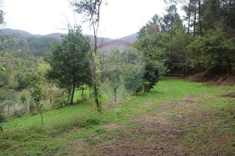 Helårsgrund i Chorense e Monte, Braga, Chorense e Monte - € 50.000 | Ref: 123331056-1019 - foto 7