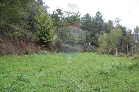 Helårsgrund i Chorense e Monte, Braga, Chorense e Monte - € 50.000 | Ref: 123331056-1019 - foto 6