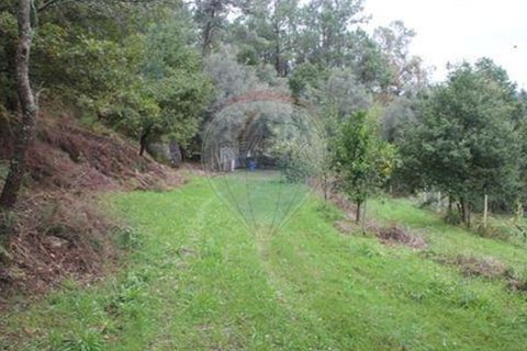 Helårsgrund i Chorense e Monte, Braga, Chorense e Monte - € 50.000 | Ref: 123331056-1019 - foto 5
